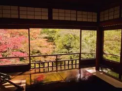 【京都】着物で周りたい♡秋のフォトジェニックな紅葉観光スポット3選