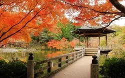 成田山新勝寺は紅葉スポット！都心から近くデートにもピッタリ☆