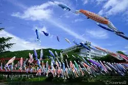 【絶景×佐賀】ホントは内緒にしたい佐賀の穴場絶景スポット5選！