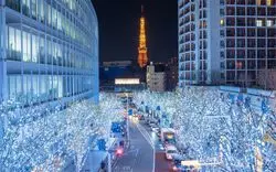 【2019】六本木ヒルズでクリスマスを♡おすすめプランをご紹介！