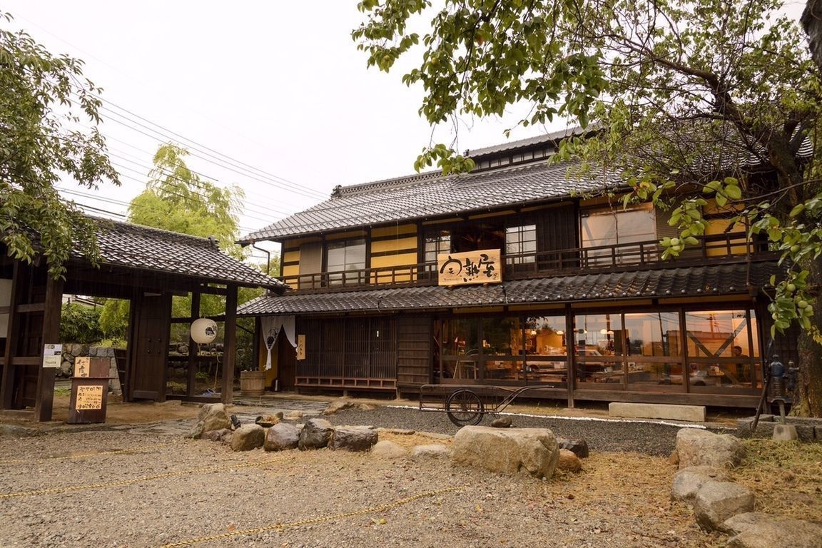 の画像