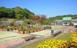 北九州でのおすすめ観光地20選！雄大な自然やご当地グルメを満喫