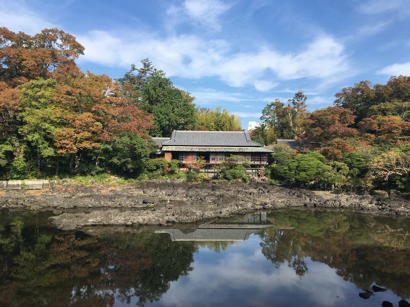 の画像