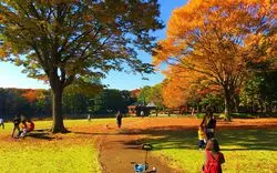 つくばのおすすめおでかけプラン♡パンと公園の街を満喫しよう！