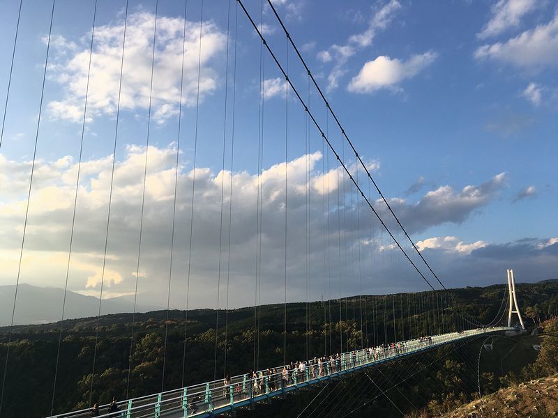 の画像