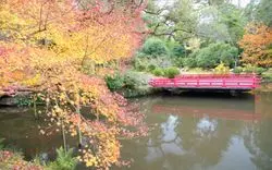 【厳選】湯河原温泉街のおすすめスポット6選！ここなら間違いなし♪
