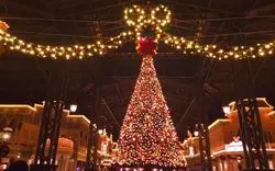 【2019年最新版】ディズニークリスマスの混雑に負けない！回避して満喫しよ♡