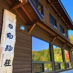 【長野】神秘的な苔の森が広がる！紅葉の名所「白駒池」