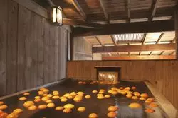 【熱川プリンスホテル】日帰り温泉も楽しめる絶景ホテルを徹底解剖！