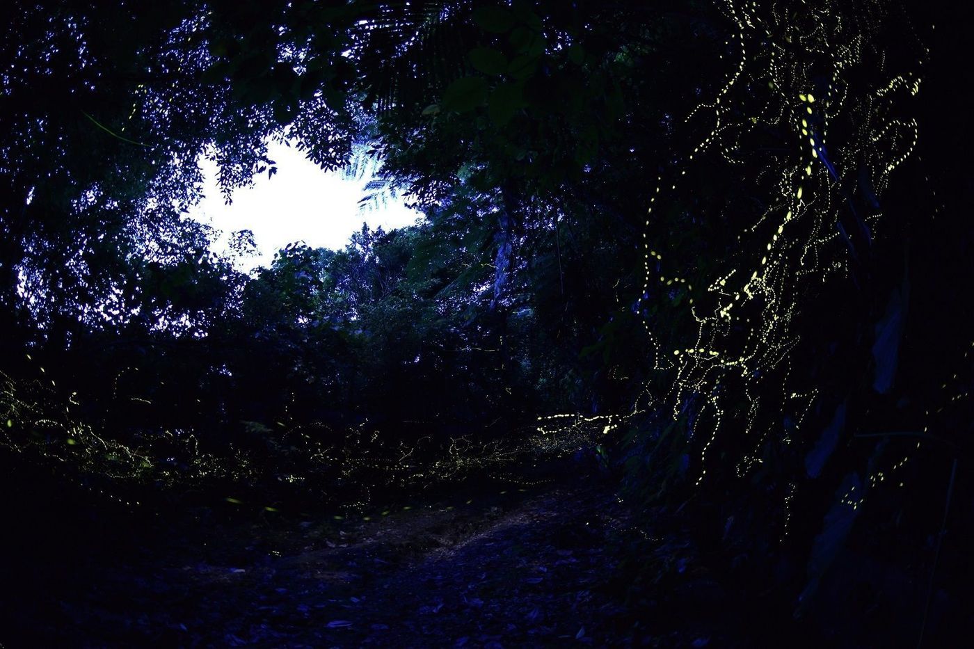 【石垣島】飛行機でお得に夏旅！各航空会社の運賃を徹底比較♪の画像