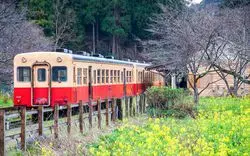 千葉のお土産おすすめ23選！喜ばれる名物お菓子やおいしいグルメ