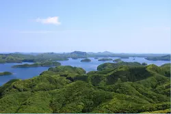 【埼玉】長崎対馬の鮮魚×「和食　桃栗」♡国内屈指の魚介を上品な料亭で♡
