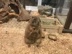 【横浜】動物とふれあえる♡大自然体感ミュージアム"Orbi横浜"