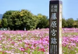 【奈良×フォトジェニック】古代ロマンに溢れた明日香村周辺を観光♡