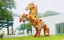 楽しさ満点◎【十和田市現代美術館】で素敵な思い出を作ろう！