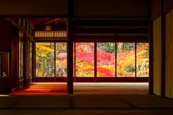 南禅寺は水路閣だけじゃない！京都の紅葉おススメ3選♡