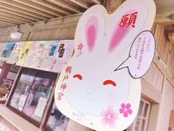【うさぎ♡お乳岩♡運玉】洞窟の中の神社で宮崎観光コンプリート！