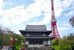 東京タワーだけじゃもったいない！一緒に観光したいスポット３選