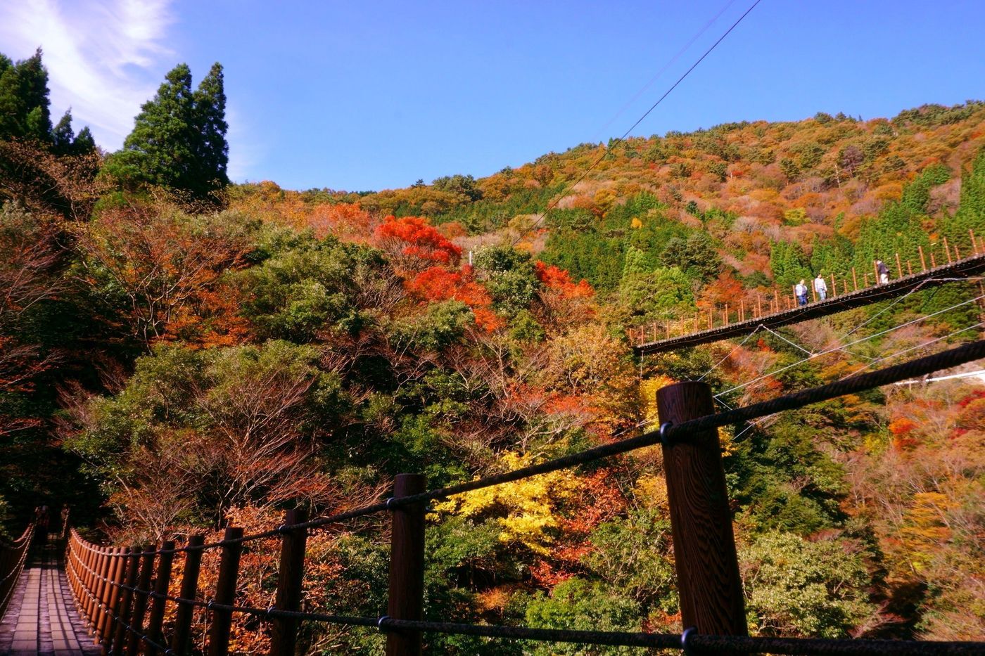 【九州の秘境！】熊本のオススメ紅葉スポットは五家荘！の画像