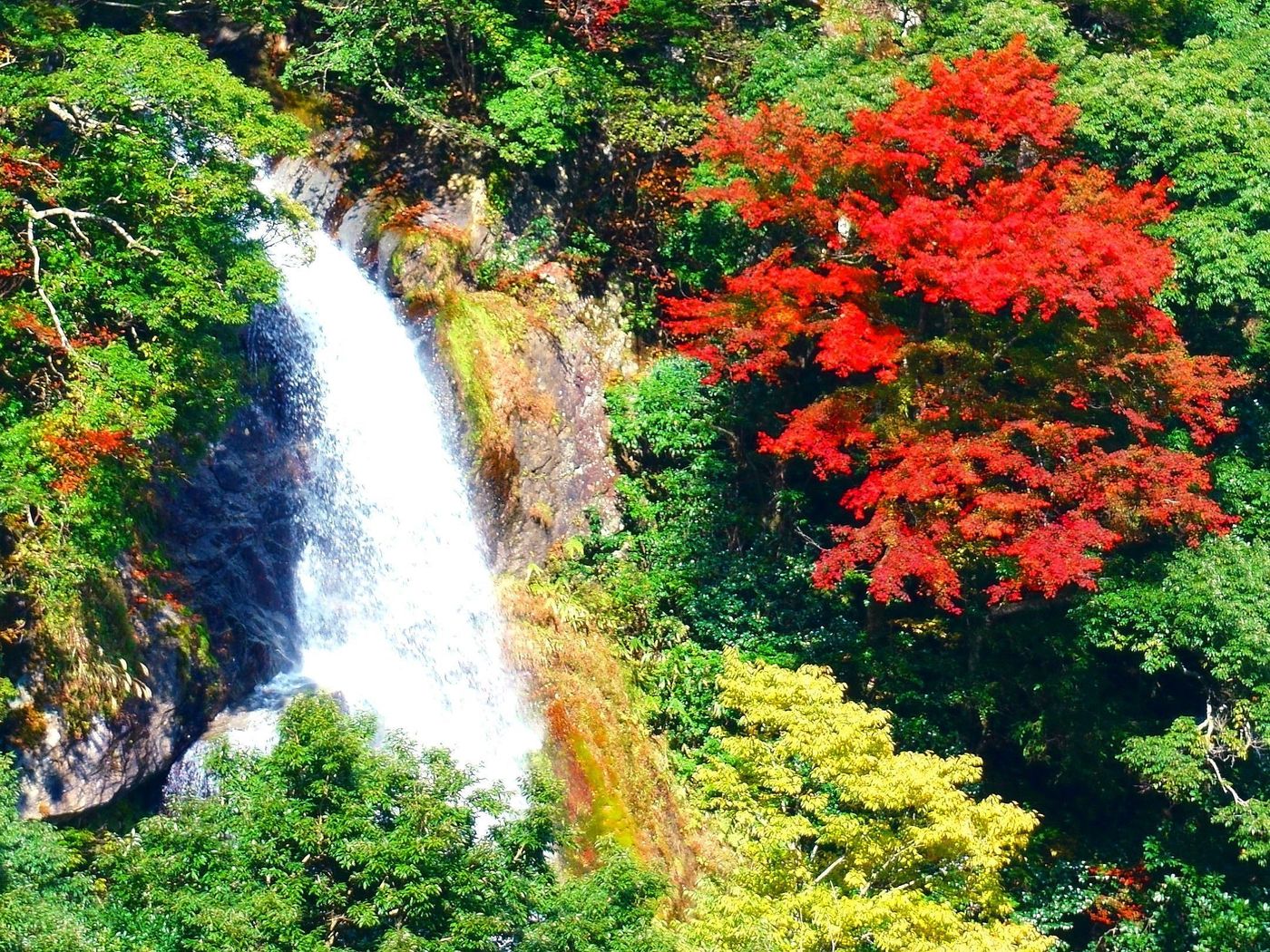 【九州の秘境！】熊本のオススメ紅葉スポットは五家荘！の画像