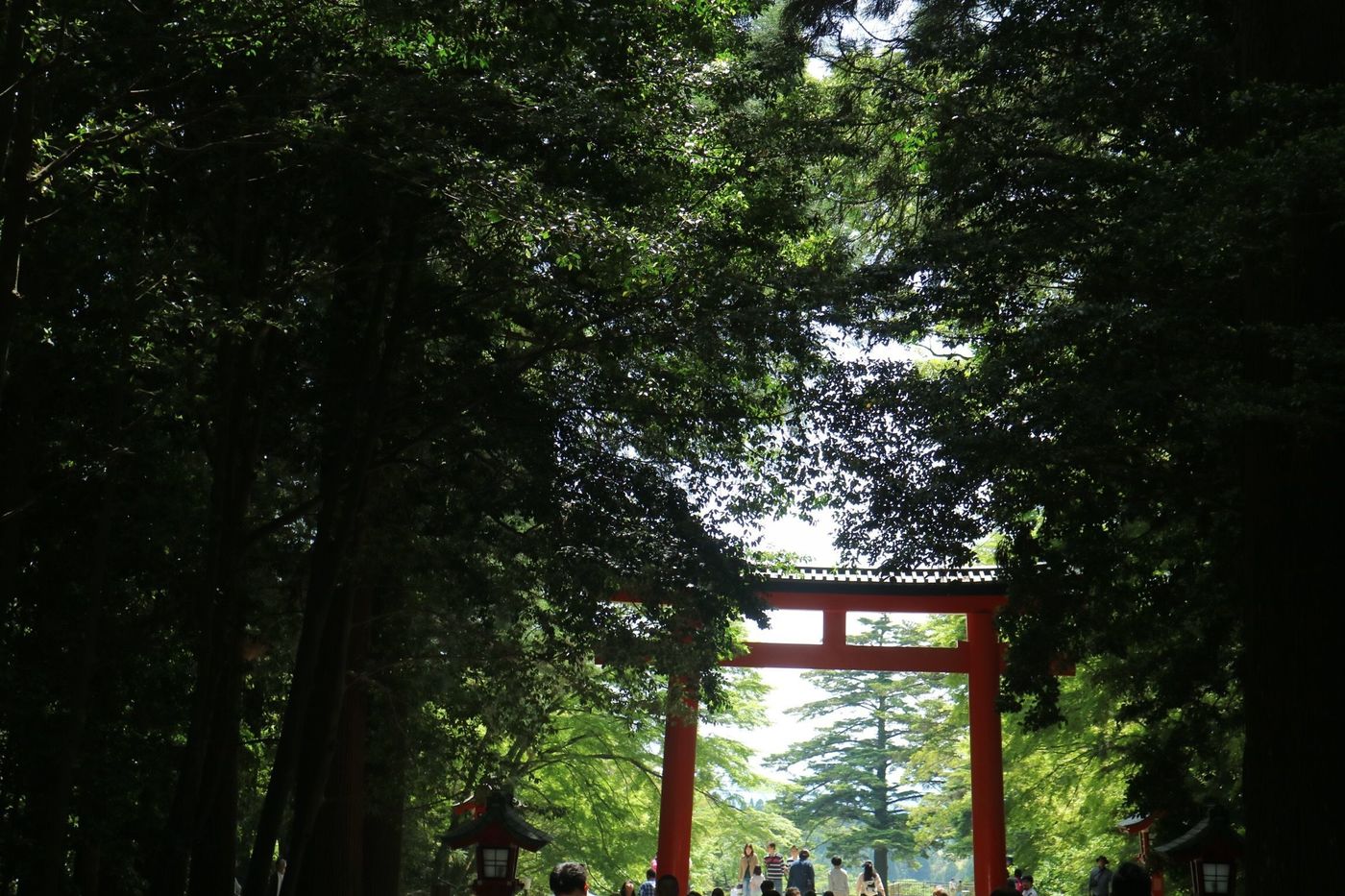 の画像