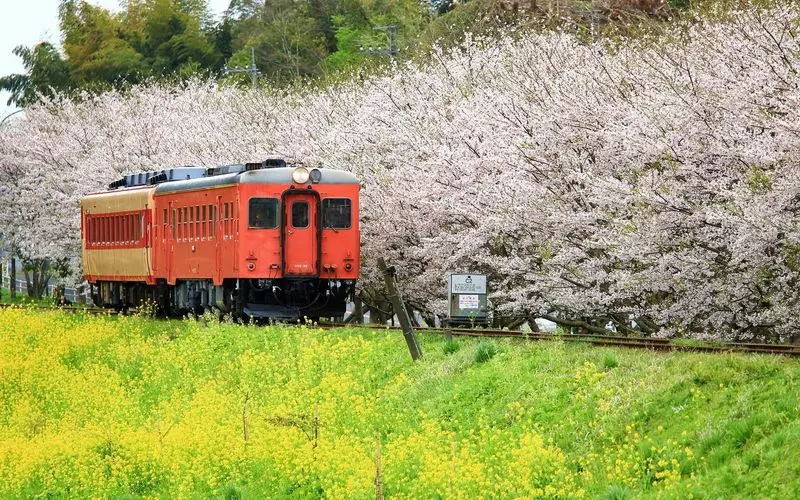 千葉の絶景スポット8. のどかな自然を楽しむ「いすみ鉄道」にひとり旅 1枚目