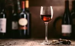 【国分寺】女性も入りやすい♡一人飲みに使えるお店7選