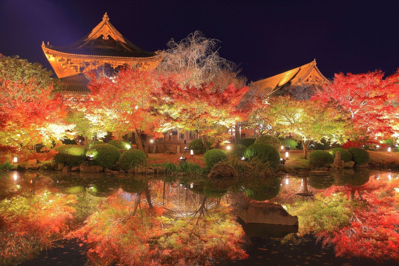 の画像