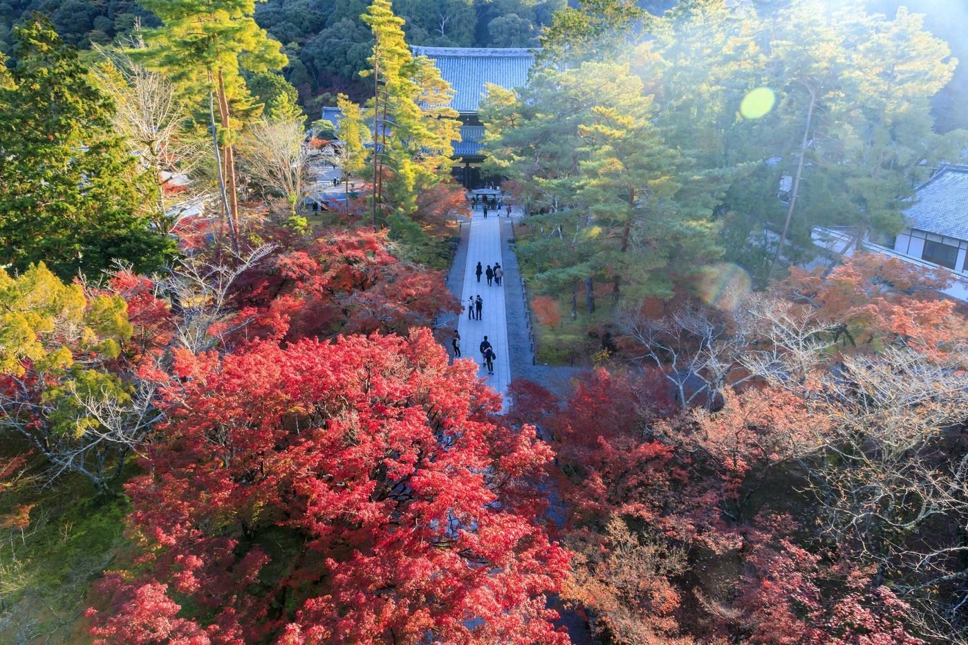 の画像
