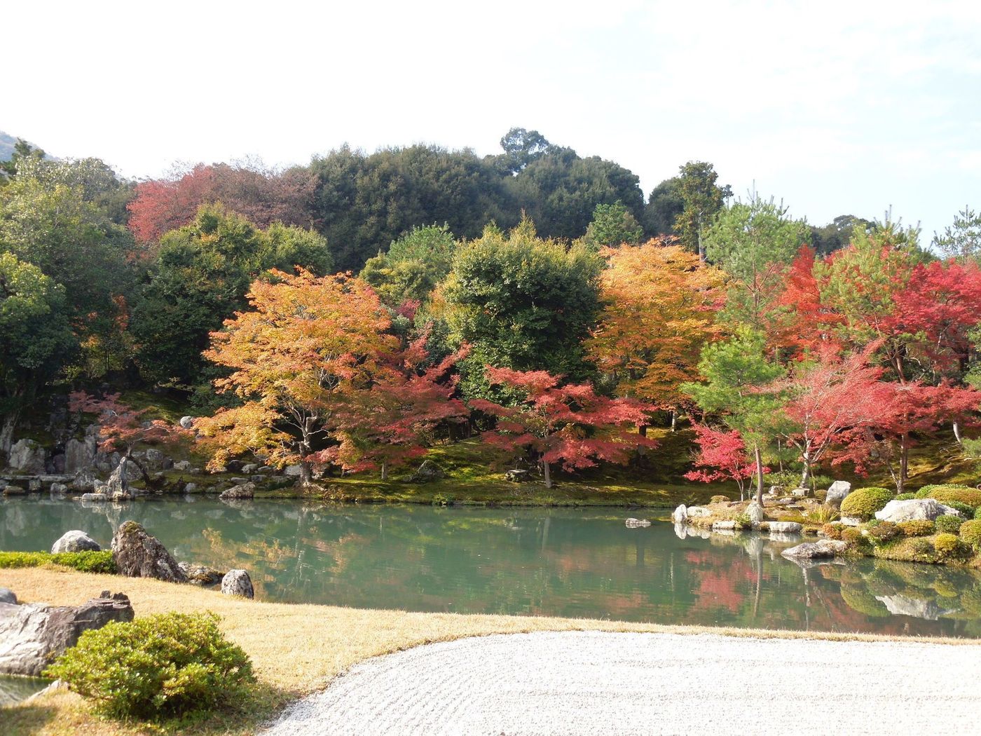 の画像