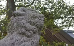 富山で神社巡りを楽しもう♪魅力たっぷりおすすめ7選！