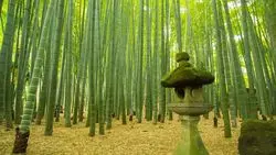 古都鎌倉で寺院巡り！定番からおすすめの穴場まで♪