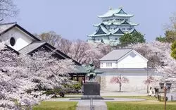 【2026】名古屋で桜！名所から穴場まで絶景お花見スポット12選