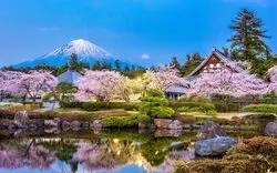 【静岡×名所】静岡の名所ってどこ？筆者おすすめ静岡名所10選！