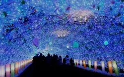 【2020】静岡のイルミネーションスポット8選！冬デートにおすすめ