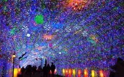 【2023‐2024】東海の絶景イルミネーションで思い出作り！おすすめ8選