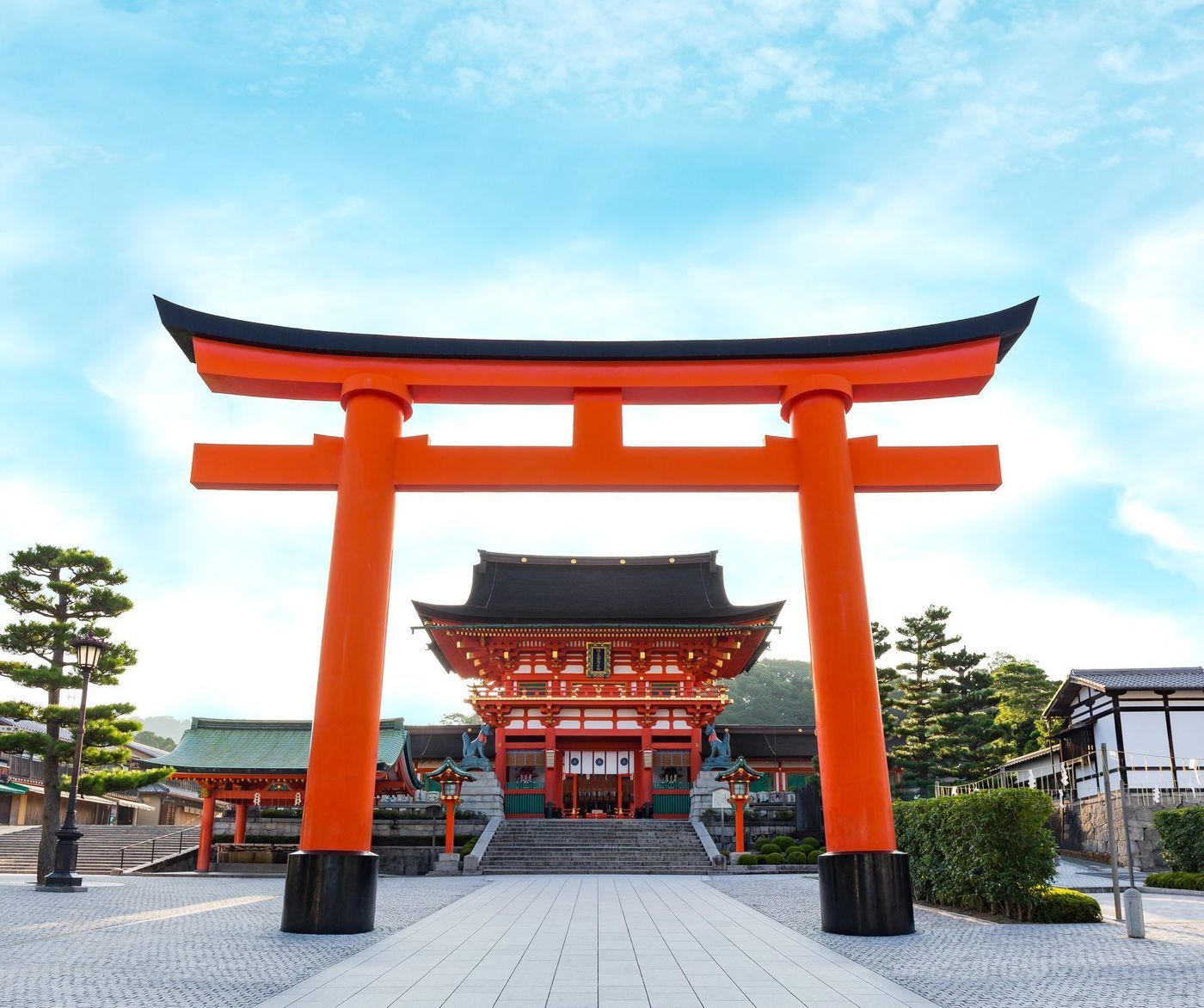の画像