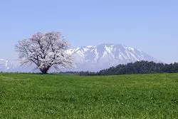 【岩手】旅行に行ったら買っておきたい♡岩手名物のお土産10選！