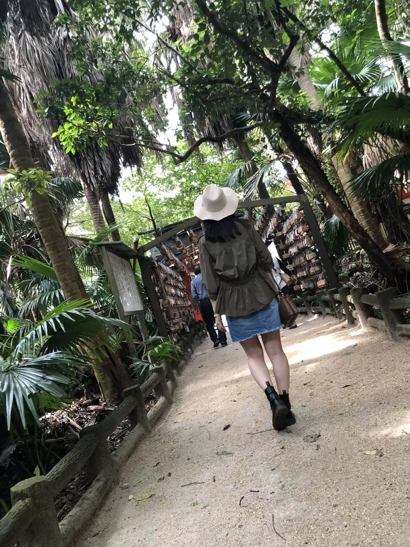 青島神社 1枚目