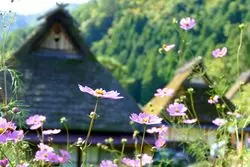 【京都】古き良き日本を体感♪壮大な山々の紅葉も楽しめちゃう♡