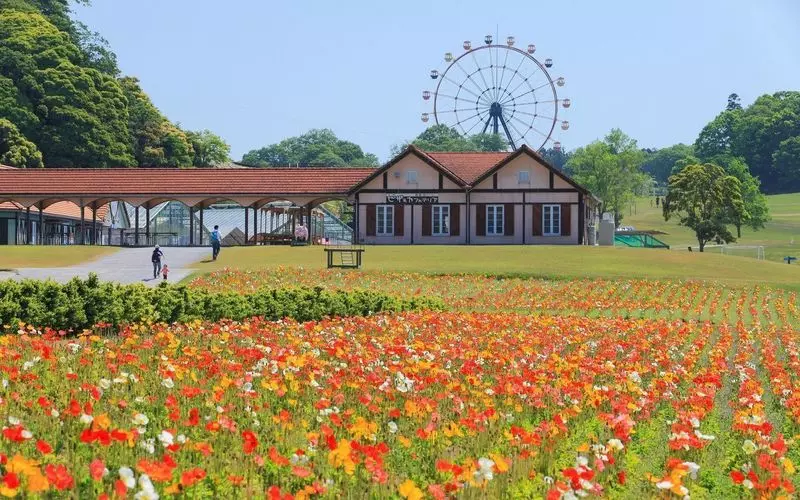 8. 「東京ドイツ村」花畑や絶景はデートにおすすめ!関東ドライブで行くべきスポット 1枚目
