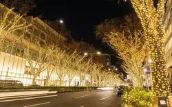 【2025-2026】表参道イルミネーション最新情報まとめ！人気イベントやスポットを紹介