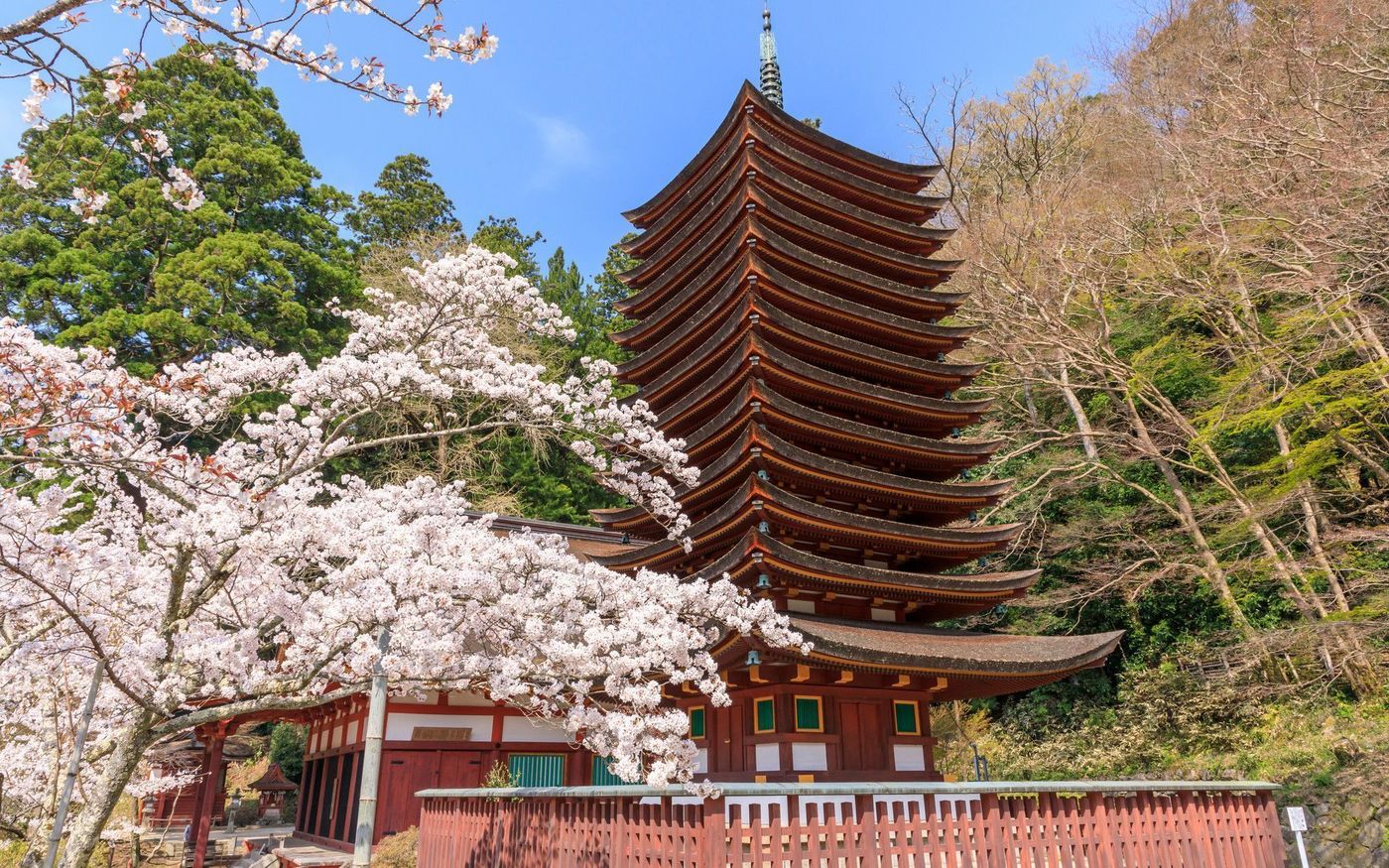 の画像