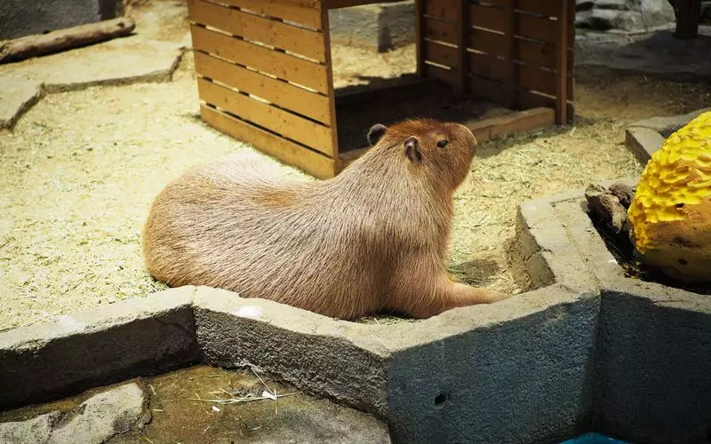 生き物と直接触れ合うこともできる! 1枚目