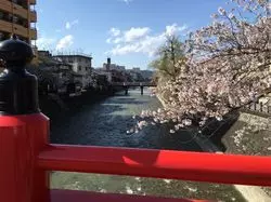 【高山】人気観光地の春と冬♡インスタ映えな風景！