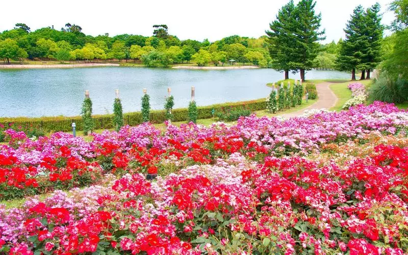 関西のオススメ公園5. デートにもピッタリ♡「蜻蛉池公園」 1枚目