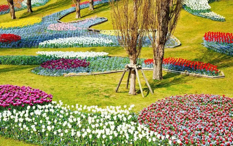 関西のオススメ公園9. 斜面に咲く花が圧巻！「国営明石海峡公園」 1枚目