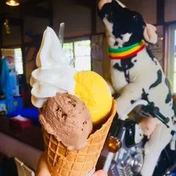 【北海道】札幌から日帰りで行ける♪自然いっぱい夕張＆千歳の魅力！