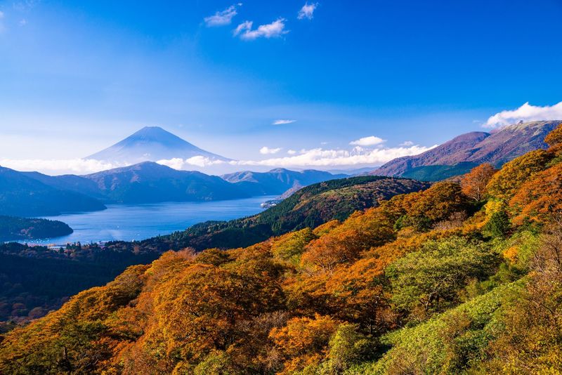 決定版 箱根のおすすめ高級旅館13選 贅沢時間が楽しめる外さない宿 Aumo アウモ