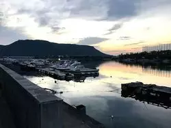 釣った魚と「おいしい料理」を交換！おすすめの居酒屋in香川・高松